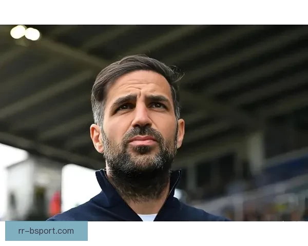 科莫奇迹升入意甲法布雷加斯少帅执教开启蓝湖球队复兴新纪元